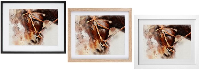 Equine Brown Horse Framed Prints